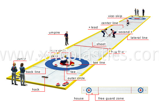 Land Curling Sheet